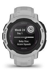 Garmin Instinct® 2 Solar Mist Gray 45mm hind ja info | Nutikellad, laste nutikellad | hansapost.ee