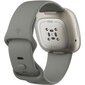 Fitbit Sense Sage Grey/Silver цена и информация | Nutikellad, laste nutikellad | hansapost.ee