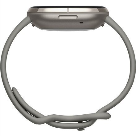 Fitbit Sense Sage Grey/Silver цена и информация | Nutikellad, laste nutikellad | hansapost.ee