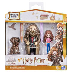 Maagilised sõbrad - Hermione & Hagrid Harry Potter hind ja info | Harry Potter Lelud | hansapost.ee