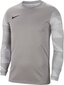 Meeste T-särk Nike Park IV GK CJ6066 052 CJ6066 052, hall цена и информация | T-särgid meestele | hansapost.ee