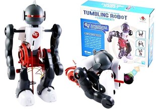 Образовательная игрушка Tumbling Robot цена и информация | Игрушки для мальчиков | hansapost.ee