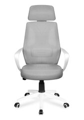 Офисное кресло MARK ADLER MANAGER 2.8 Grey, серое цена и информация | Офисные кресла | hansapost.ee