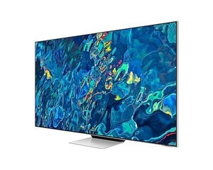 Samsung QE65QN95BATXXH цена и информация | Телевизоры | hansapost.ee