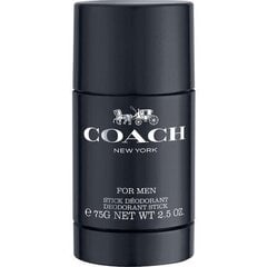 Pulkdeodorant Coach EDT meestele 75ml цена и информация | Парфюмированная косметика для мужчин | hansapost.ee