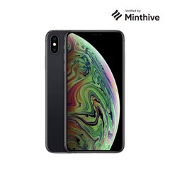 Pre-owned A grade Apple iPhone XS 64GB Grey hind ja info | Telefonid | hansapost.ee