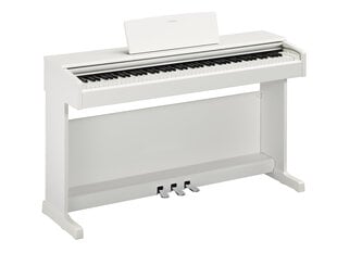 Digiklaver Yamaha YDP-145WH hind ja info | Klahvpillid | hansapost.ee