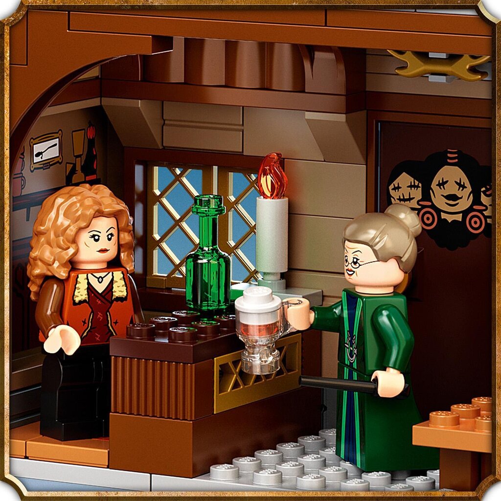 76388 LEGO® Harry Potter Siganurme küla külastus цена и информация | Klotsid ja konstruktorid | hansapost.ee