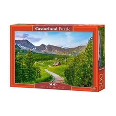 Puzzle 500 TRAIL IN TATRAS, POLAND 53582 hind ja info | Pusled lastele ja täiskasvanutele | hansapost.ee