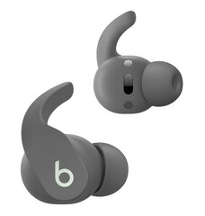 Beats Fit Pro True Wireless Earbuds — Sage Grey - MK2J3ZM/A hind ja info | Beats Arvutid ja IT- tehnika | hansapost.ee