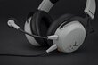 Beyerdynamic MMX 100 цена и информация | Kõrvaklapid | hansapost.ee