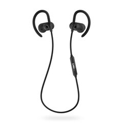 Niceboy HIVE Sport 2 Bluetooth juhtmevabad kõrvaklapid hind ja info | Niceboy Heli- ja videoseadmed, klaviatuurid ja hiired | hansapost.ee