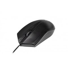 Rebeltec optical mouse USB 1,8m Wolf цена и информация | Компьютерные мыши | hansapost.ee
