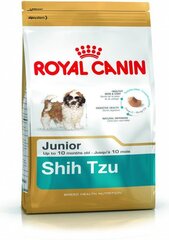 Royal Canin для собак породы Ши-Тцу Junior, 0,5 кг цена и информация | Сухой корм для собак | hansapost.ee