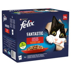 Felix Fantastic со вкусом курицы, говядины, кролика, баранины, 24x85 г цена и информация | Консервы для кошек | hansapost.ee