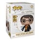 Funko POP! Harry Potter - Harry Potter with Hedwig hind ja info | Fännitooted mänguritele | hansapost.ee