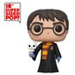 Funko POP! Harry Potter - Harry Potter with Hedwig hind ja info | Fännitooted mänguritele | hansapost.ee