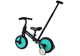 Laste kolmerattaline jalgratas 3in1, must цена и информация | Трехколесные велосипеды | hansapost.ee