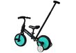 Laste kolmerattaline jalgratas 3in1, must цена и информация | Kolmerattalised jalgrattad lastele | hansapost.ee