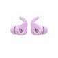 Beats Fit Pro True Wireless Earbuds — Stone Purple - MK2H3ZM/A цена и информация | Kõrvaklapid | hansapost.ee