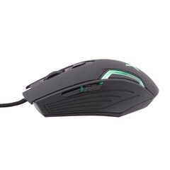 Maxlife MXGM-300, черный цена и информация | Компьютерные мыши | hansapost.ee