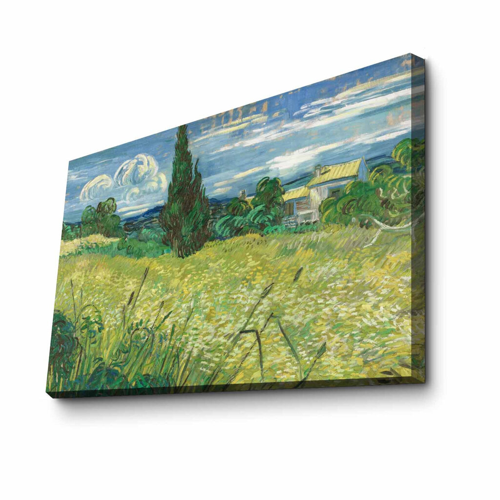 Reproduktsioon Green Wheat Field with Cypress цена и информация | Seinapildid | hansapost.ee