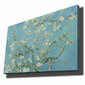 Reproduktsioon Almond Blossoms hind ja info | Seinapildid | hansapost.ee