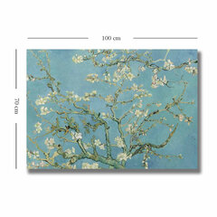 Reproduktsioon Almond Blossoms hind ja info | Seinapildid | hansapost.ee