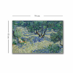 Reproduktsioon Olive Orchard hind ja info | Seinapildid | hansapost.ee