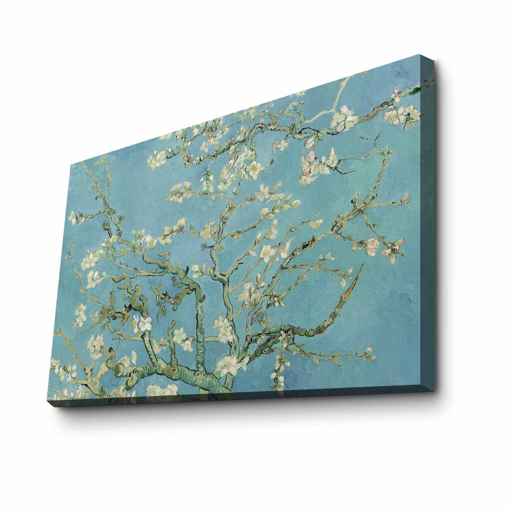 Reproduktsioon Almond Blossoms hind ja info | Seinapildid | hansapost.ee