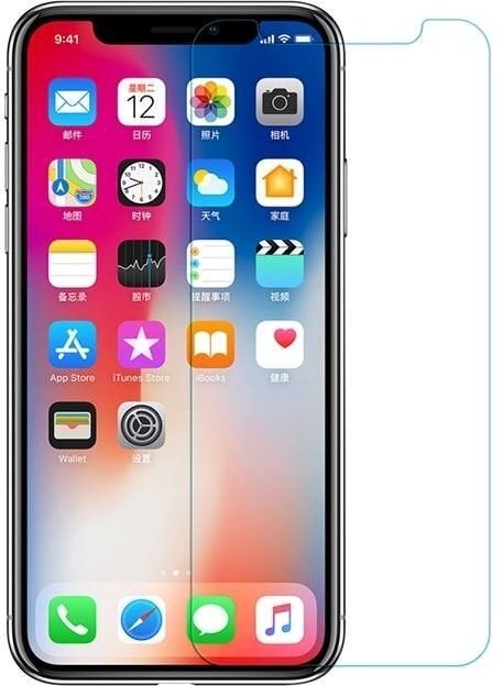 Ekraanikaitse Nillkin sobib iPhone X цена и информация | Ekraani kaitseklaasid ja kaitsekiled | hansapost.ee