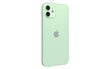 Renewd® iPhone 12 64GB Green hind ja info | Telefonid | hansapost.ee