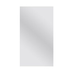 Зеркало Sensea Grinded, 50x90 см, серебряного цвета цена и информация | Зеркала | hansapost.ee