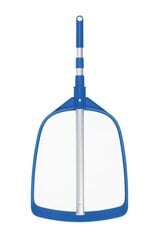 Basseini hooldussõel Flowclear AquaScoop, 163 cm hind ja info | Basseinitarvikud | hansapost.ee