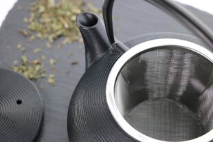 Чугунный заварочный чайник с ситечком, 0,8 л цена и информация | Чайники, кофейники | hansapost.ee