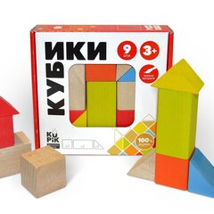 Klotsid Mini komplekt Igroteco IG0163, 9 detaili hind ja info | Arendavad laste mänguasjad | hansapost.ee