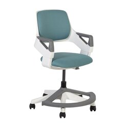 Laste arvutitool Rookee, roheline price and information | Office chairs | hansapost.ee