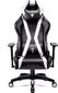 Mänguritool Diablo Chairs X-Horn 2.0, must/valge (L suurus) цена и информация | Kontoritoolid | hansapost.ee