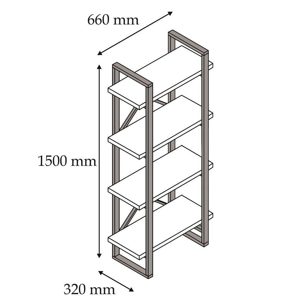 Eraldiseisev riiul Kalune Design Alaro, pruun/must hind ja info | Riiulid | hansapost.ee