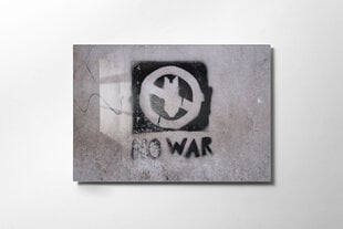 Картина из закаленного стекла No War цена и информация | Репродукции, картины | hansapost.ee