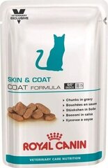 Консервы для кошек Royal Canin Skin & Coat, 12x85 г цена и информация | Сухой корм для кошек | hansapost.ee