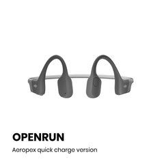 Shokz Open Run S803GY hind ja info | Aftershokz Arvutid ja IT- tehnika | hansapost.ee