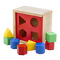 Klotsisorteerija - Kuup, New Classic Toys 10560 цена и информация | Beebide mänguasjad | hansapost.ee