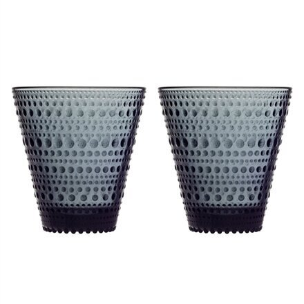 Iittala 2 klaasi komplekt Kastehelmi, 300 ml цена и информация | Klaasid, kruusid ja kannud | hansapost.ee