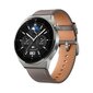 Huawei Watch GT 3 Pro Titanium Gray Leather цена и информация | Nutikellad, laste nutikellad | hansapost.ee