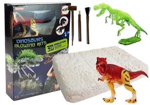 Kasinėjimai Tyranozaur Rex rinkinys цена и информация | Развивающие игрушки для детей | hansapost.ee