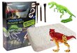 Noore arheoloogi komplekt koos pimedas helendava dinosaurusega цена и информация | Arendavad laste mänguasjad | hansapost.ee