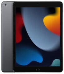 Apple iPad 10.2" Wi-Fi 256GB - Space Grey 9th Gen MK2N3 hind ja info | Apple Tahvelarvutid ja e-lugerid | hansapost.ee