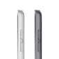 Apple iPad 10.2" Wi-Fi 256GB - Space Grey 9th Gen MK2N3 hind ja info | Tahvelarvutid | hansapost.ee