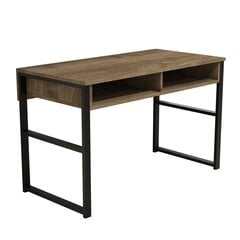 Письменный стол Kalune Design Nove, коричневый цена и информация | Компьютерные, письменные столы | hansapost.ee